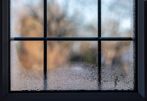 Condensation on window from high humidity indoors.